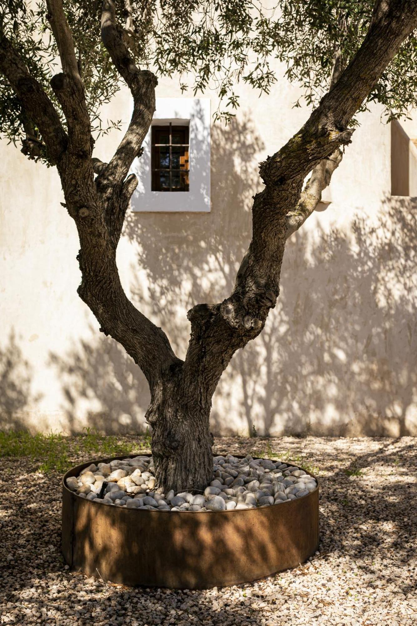 Can Noves - Villa De 4 Suites 35 Y 52 San Francisco Javier Exterior photo